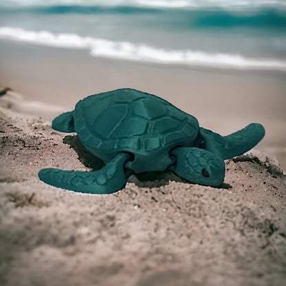 Sea Turtle