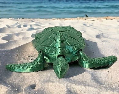 Sea Turtle